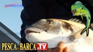 COME PESCARE LE ORATE dalla BARCA CON LA CANNA con Marco Volpi  parte 2  Pesca Dalla Barca TV [upl. by Silverstein]