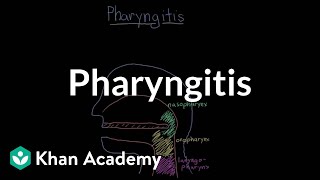 Pharyngitis  Respiratory system diseases  NCLEXRN  Khan Academy [upl. by Nies116]