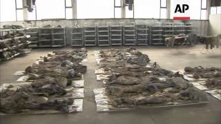 Hundreds of bodies excavated from mass grave 18 years after the war [upl. by Halford60]