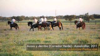 Acoso y derribo HD finca Soberbina [upl. by Grados]