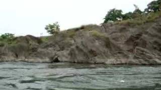 Kiso River cruise boatmans singing the river folk song [upl. by Allisan427]