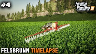 FS19 Timelapse Felsbrunn 4 Contract Work [upl. by Publia]