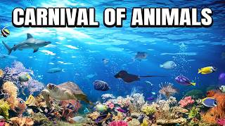 The Carnival of the Animals Aquarium amp Fossiles [upl. by Wester258]