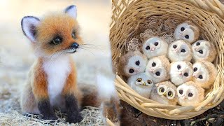 Cute Baby Animals Videos Compilation  Funny and Cute Moment of the Animals 18  Cutest Animals [upl. by Ardnat]