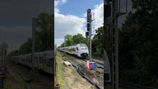 Transregio 460 010 460 014 und 460 014 Elektrotriebwagen als RB 26 aus Mainz in Bonn br460 [upl. by Rotberg]