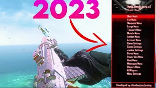 HOW TO GET MOD MENU BO2 ONLINE 2023 [upl. by Capon]