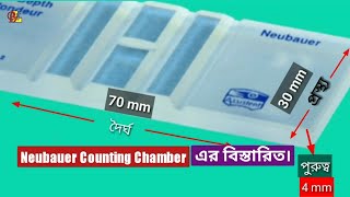 Introduction To Neubauer Counting Chamber [upl. by Yoral]