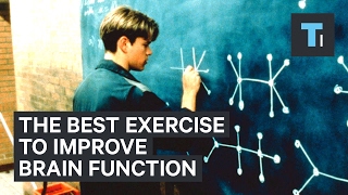 Neuroscientist explains the best exercise to improve brain function [upl. by Anitsenre]