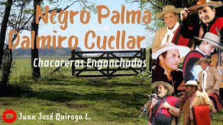 Negro Palma  Dalmiro Cuellar  Chacareras Enganchadas Vol 01 [upl. by Haldis]