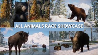 Planet Zoo 2024 All Animals Race Showcase [upl. by Carmencita]