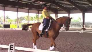 Collecting the Canter with Debbie McDonald [upl. by Nigem]