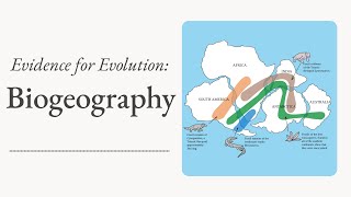 Evidence for Evolution Biogeography [upl. by Nedia307]