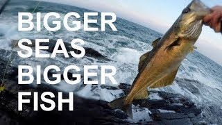 Bigger Seas  Bigger Fish  Rock Fishing For Pollock On Galway Bay Ireland [upl. by Danete227]