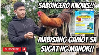 SABONGERO KNOWS MABISANG GAMOT SA SUGAT NG MANOK  GAMEFOWL BREEDERS  GAMEFOWLS [upl. by Ahselet]