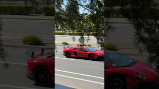 Lamborghini Aventador SV FlyBy lamborghini aventador aventadorsv sv flyby exhaust v12 shorts [upl. by Melisent103]