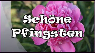 Schöne Pfingsten 🌸 [upl. by Alyel]