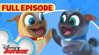 Puppy Dog Pals S1 E1 Full Episode 🐶  Hawaii PugOh 🏝️  ARF  disneyjr [upl. by Ecaidnac]