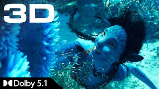 IMAX 3D Teaser • Avatar 2 The Way of Water • Dolby 51 [upl. by Drawets]