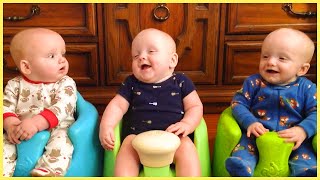 Try Not to Laugh with Funny Baby Moments [upl. by Karin]