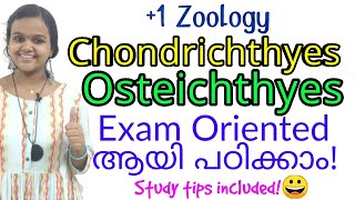 Chondrichthyes amp Osteichthyes Exam oriented Video Study easily 1 Zoology Animal Kingdom [upl. by Macomber]