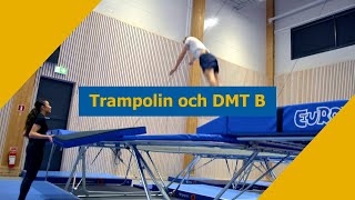 Trampolin amp DMT B [upl. by Attena540]