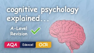 What is Cognitive Psychology Alevel Revision Themes in Psychology Explained [upl. by Noma]