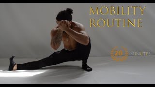 Daily Mobility Routine l Increase Flexibility l Injury Prevention [upl. by Nillad]