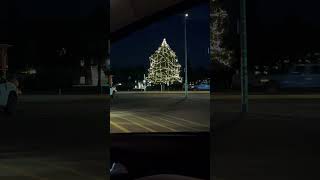 Huge christmas tree at the main st shortsca lifeincanada christmastree [upl. by Eirena738]