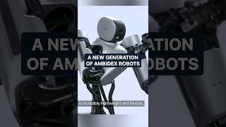 New generation of AMBIDEX robots  New technology  Pro robots [upl. by Yeca]