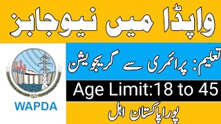 WAPDA New Jobs 2024  Wapada Jobs Advertisement  Pakoverseasjobupdates [upl. by Annuahsal962]