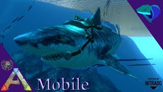 FINALLY IN THE OCEAN TAMING A MEGALODON ARK Mobile S2E43 [upl. by Sesiom]