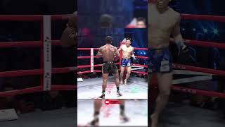 Very crispy buakaw kick is dug shortsvideo kickboxing boxing mma ufc muaythai shorts [upl. by Kiraa]