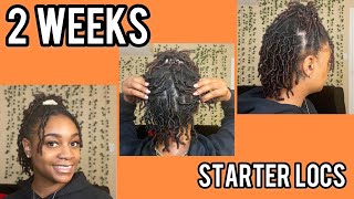 Starter Locs 2 Week Update  New Loc Journey Products amp Routine [upl. by Mimi870]