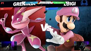 Tarik Greninja vs Karpador64 Luigi  Winners QuarterFinal  GameHotel 2024 [upl. by Eseerehs]