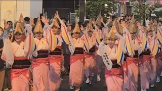 神楽坂みずき連 第50回神楽坂まつり 阿波踊り大会 2024年7月27日 [upl. by Rodrique]