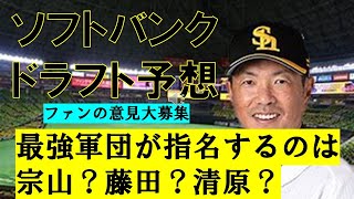 【ドラフト2024】パリーグ優勝 ソフトバンクホークスのドラフト指名予想 [upl. by Corenda]