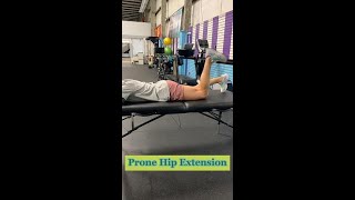 Prone Hip Extension [upl. by Durst]