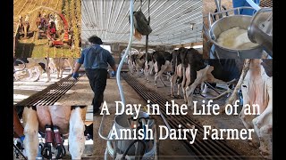 A Day in the LIFE of An AMISH DAIRYMAN During Fall Harvest in Lancaster County PAs Amish Country [upl. by Abisha]