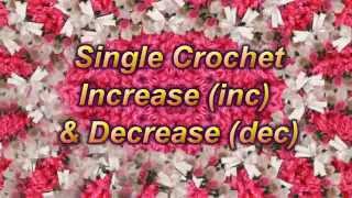 Master The Single Crochet Increase inc In Lesson 7 Of Crochet Tutorial [upl. by Byrom814]