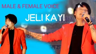 MALE amp FEMALE VOICE  JELI KAYI [upl. by Ralyks]