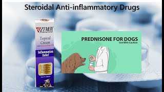 9 Steroidal Anti inflammatory Drugs [upl. by Aleyak353]