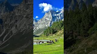 Talu Baroq Valley 🏔️❤️ Skardu travel gilgitheavenonearth skardu [upl. by Kraus]