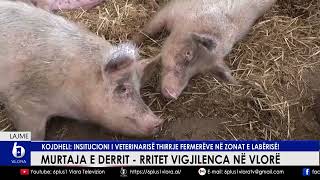 Murtaja e derrit rrit vigjilencën në Vlorë  Kojdheli Institucioni i veterinarisë thirrje fermerëve [upl. by Christis68]