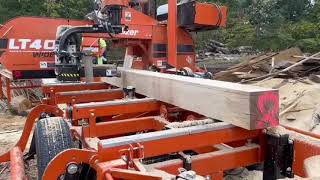 Milling Poplar 1x8 On My Wood Mizer LT 40 SuperWide sawmilling woodmizersawmill [upl. by Namajneb196]