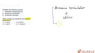 Consider the following enzymes 1 Glutamate dehydrogenase 2 Glutamine synthetase [upl. by Aikan595]