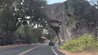 Leaving Yosemite [upl. by Crandell]