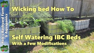 Self watering Wicking bed IBC beds with a few modifications [upl. by Azilef494]