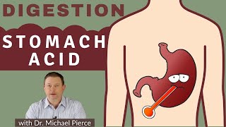 Digestion Series  Basics of Stomach Acid Explained [upl. by Sitoiyanap]