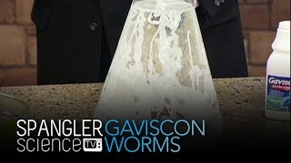 Gaviscon Worms  Cool Science Experiment [upl. by Yartnoed43]