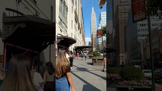 One of the BEST Cities in the World New York shorts travel usatravelvlog [upl. by Barbabas]